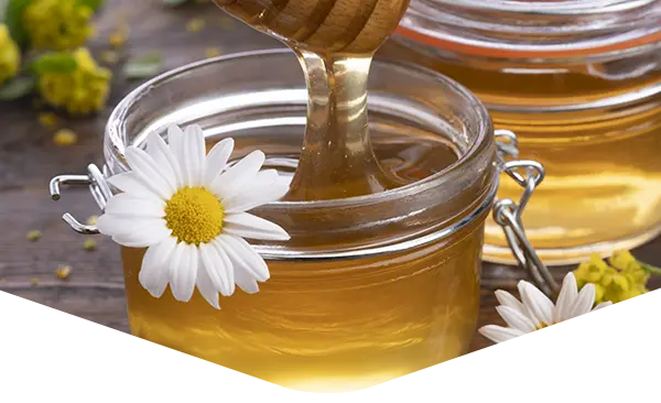 Degustazione di miele