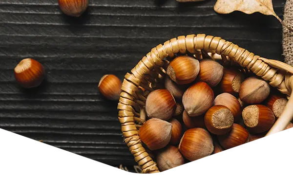 Visit processing and production of hazelnut oil